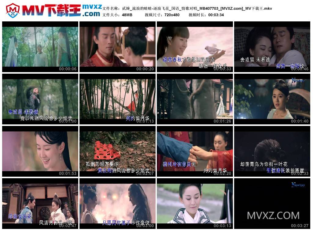 贰婶_流浪的蛙蛙-逐浪飞花_国语_情歌对唱_MB407703